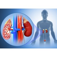 Suplimente alimentare Afectiuni renale